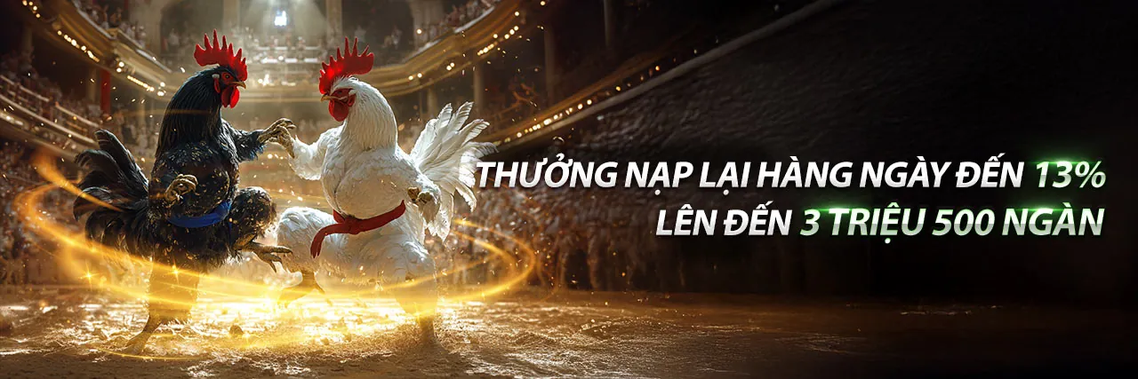 Đấu trường đá gà trực tuyến sôi động tại THBBET