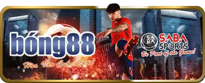 Hỗ trợ khách hàng THBBET