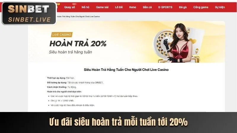 Tải ứng dụng THBBET
